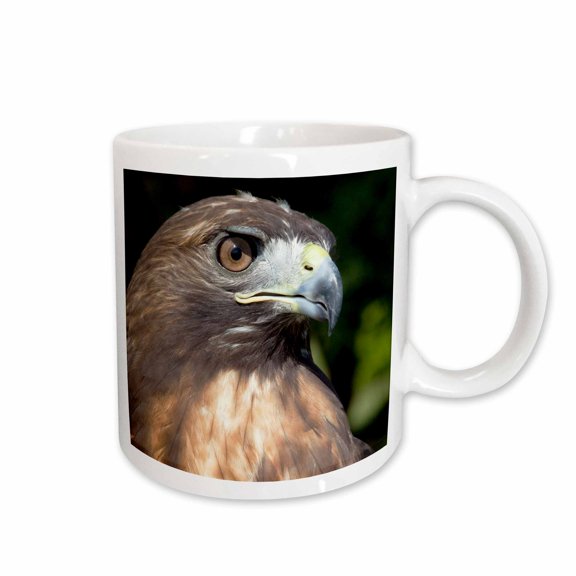3drose, Usvi, St. Croix, Red-tailed Hawk, Bird-ca37 Ajn0035 - Alison Jones, 15oz Mug