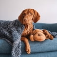 thumbnail image 2 of Juguete Interactivo SmartPetLove Biscuit para Ansiedad de Mascotas, 2 of 9