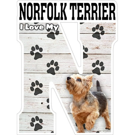 

I Love My Norfolk Terrier Fridge Magnet