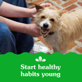thumbnail image 2 of Greenies Smartbites Immune Support Chicken Flavour Crunchy & Creamy Adult Dog Treats, 2 of 11