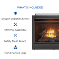 thumbnail image 4 of Duluth Forge Dual Fuel Vent less Gas Fireplace Insert - 26,000 BTU, T-Stat Control - Model# FDF300T, 4 of 14