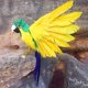thumbnail image 3 of Simulación Estatuilla Aves falsas Animal Estatuilla sanía Estatua para Decoración del césped Decoración del , E Baoblaze Estatua de loro de simulación, 3 of 7