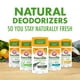 thumbnail image 3 of Desodorante Arm & Hammer Essentials Charcoal, paquete de 4, 3 of 4