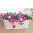 thumbnail image 4 of Travelwant Metal Iron Hanging Flower Pots for Railing Fence Hanging Bucket Pots Countryside Style Window Flower Plant Holder with Detachable Hooks Home Decor, 4 of 7