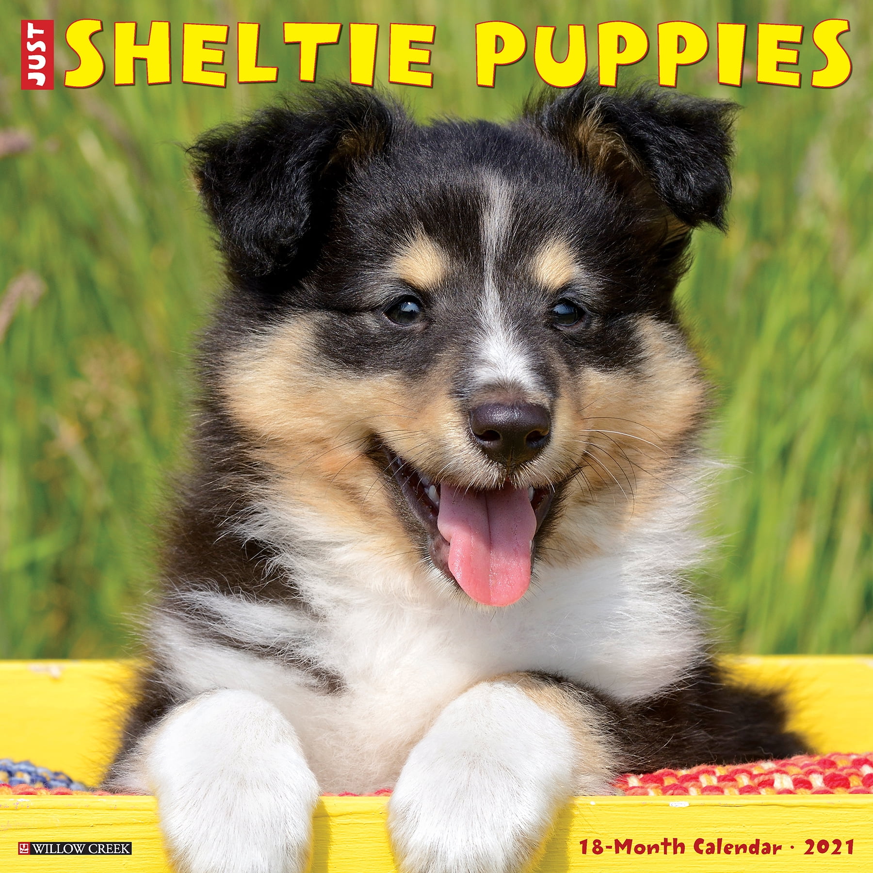 Willow Creek Press 2021 Just Sheltie Puppies Wall Calendar