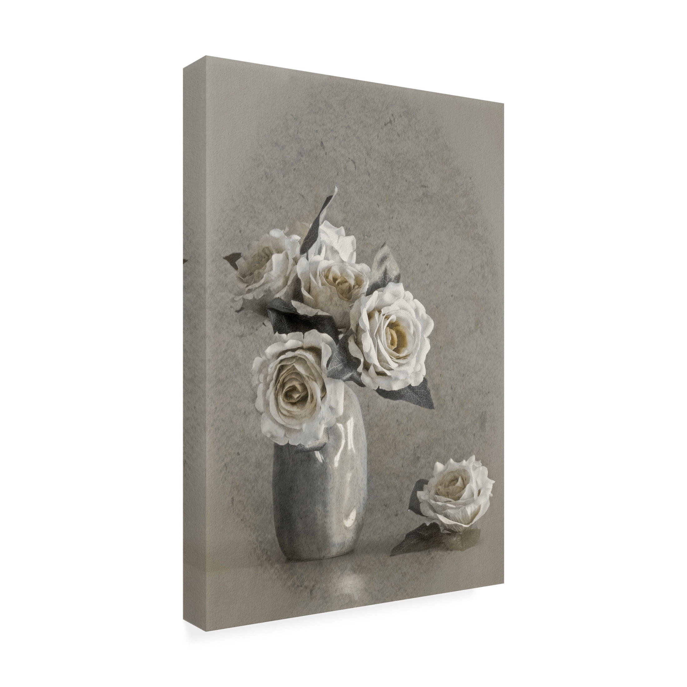 Trademark Fine Art Cicek Kiral Faded Lines Canvas Wall Art