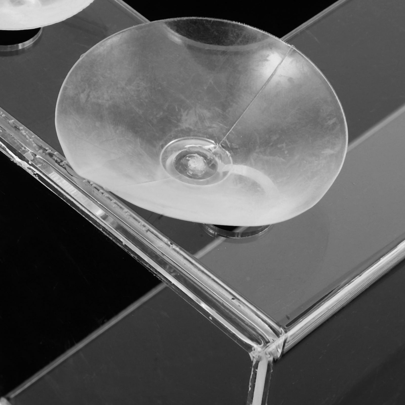 ADDHAT Wall Spice Rack Clear Design Acrylic Shelf Rubber 1Pcs