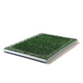 thumbnail image 1 of Tapete Sanitario Entrenador Indoor Puppy Mini Indoor Puppy Mini Mini, 1 of 7