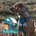 thumbnail image 4 of Embark Adventure Dog Harness, No-Pull Reflective Trim Dog Harness for Small, Medium & Large Dogs - Military Grade Nylon, 2 Leash Clips & Gel Lined Handle. Soft & Padded Puppy Dog Vest for Any Breed, 4 of 9
