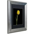 thumbnail image 2 of Trademark Fine Art 'Yellow Tulip Black Background 5' Canvas Art by PIPA Fine Art, Black Matte, Silver Frame, 2 of 4