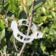 thumbnail image 5 of Jinyi Plant Clips,vines Clips Durable Crop Clips Reusable Plant Connects Clips Ening Tools Accessories For Ling Grafting Vet, 5 of 5