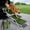 Green, variant on Dog Ramp for Car, Extra Wide 4 Steps Stairs for Truck, Folding Steps for Dogs with Non-Slip Surface, Pet Loader Dog for Large Dog, SUV, Side Door and Bed (Green, 16.9In-4 Steps)