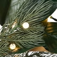 thumbnail image 4 of National Tree Company Pre-Lit Artificial Christmas Wreath, Green, Mixed Pine, 35 Warm White LED Lights, Remote Control, 24 Inch, 4 of 5