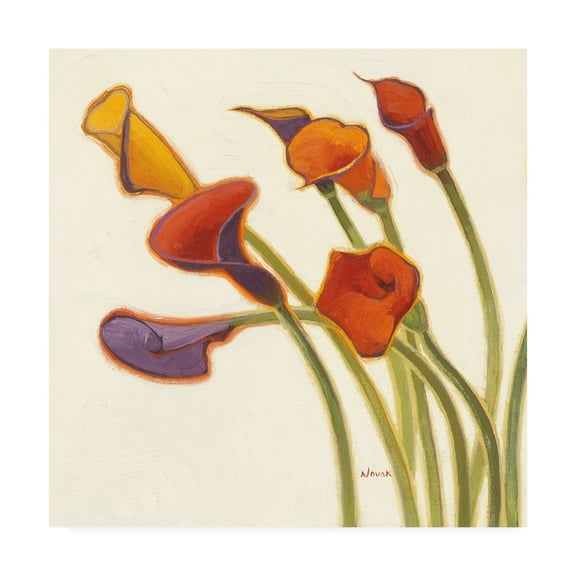 Trademark Fine Art 'Callas in the Wind II' Canvas Art by Shirley Novak