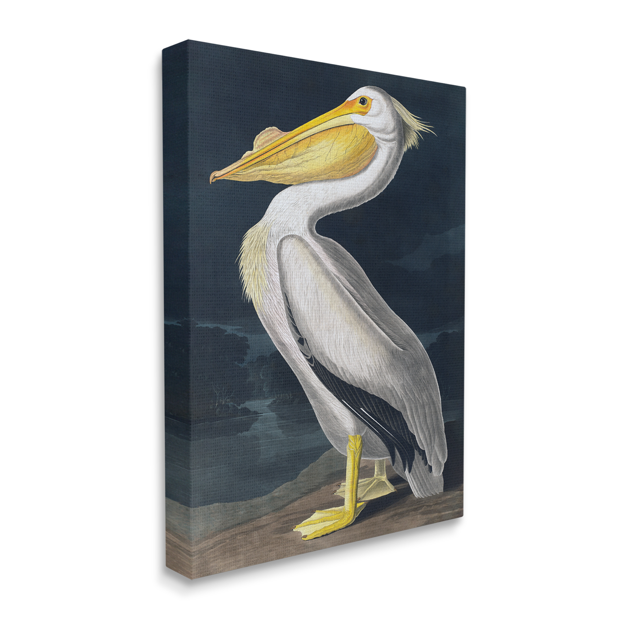 Stupell Industries Pelican on Night Shore Animals & Insects Painting Gallery Wrapped Canvas Art Print Wall Art, 24 x 30