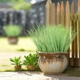 thumbnail image 3 of Zukuco 16PCS Fake Light Green Grass Decor Artificial Grass Plants Outdoor Artificial Tall Shrubs Wheat Grass Greenery Stems Faux UV Resistant Grass Artificial Plant for Outdoor Indoor Home Decor, 3 of 7
