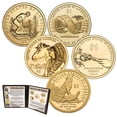 thumbnail image 2 of Native American Dollar Collection, 2 of 2
