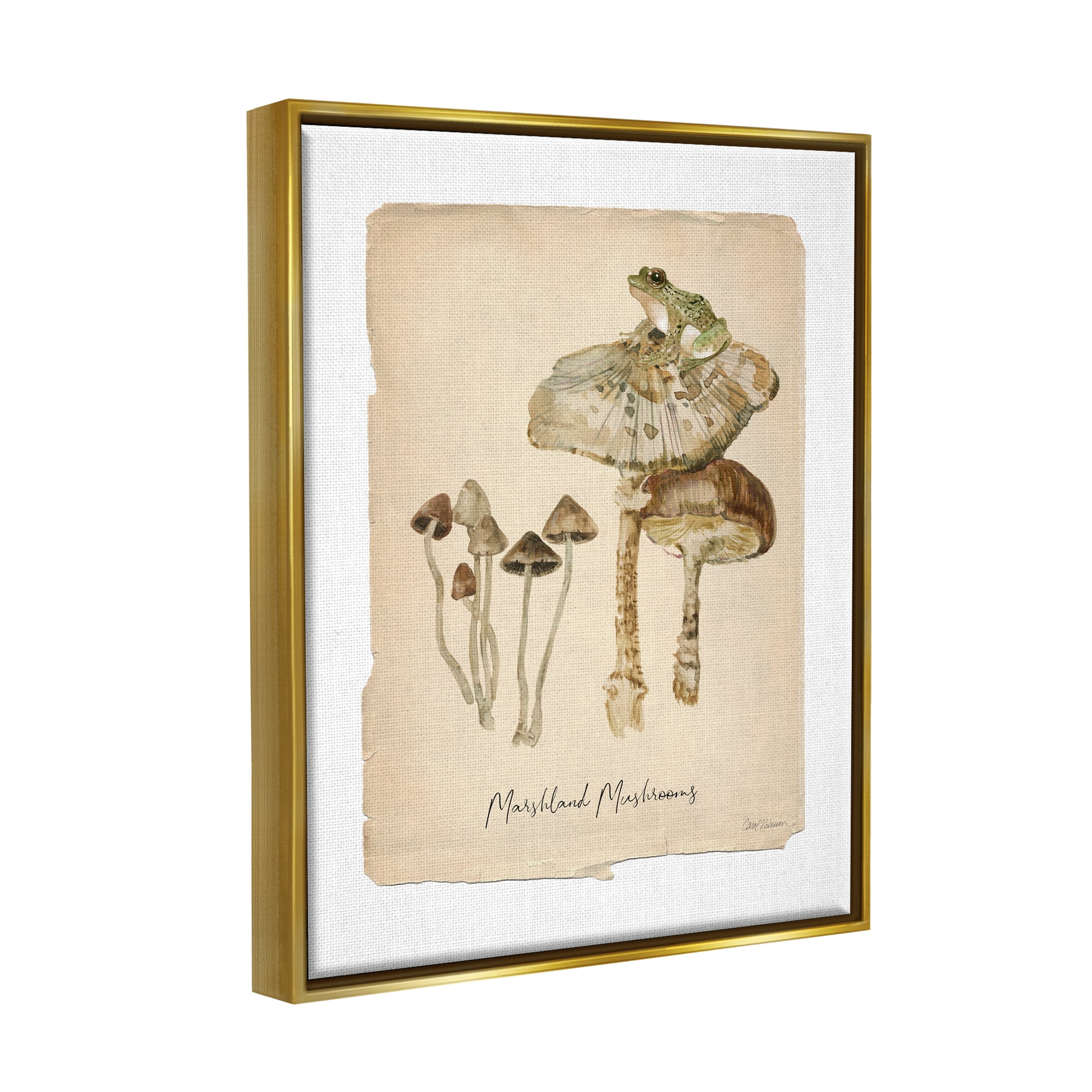 Stupell Industries Marshland Mushrooms & Frog Botanical & Floral Painting Gold Floater Framed Canvas Art Print Wall Art, 17 x 21
