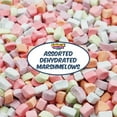 thumbnail image 2 of Dehydrated Assorted Marshmallows  Bulk Bag of Colorful Cereal Style Mini Marshmallows, 8oz, 2 of 7