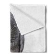 thumbnail image 2 of Grey Soft Flannel Fleece Throw Blanket, Parrot Bird Psittacus Erithacus Standing on a Branch Tropical Nature Wildlife, Cozy Plush for Indoor and Outdoor Use, 50" x 60", Multicolor, by Ambesonne, 2 of 5