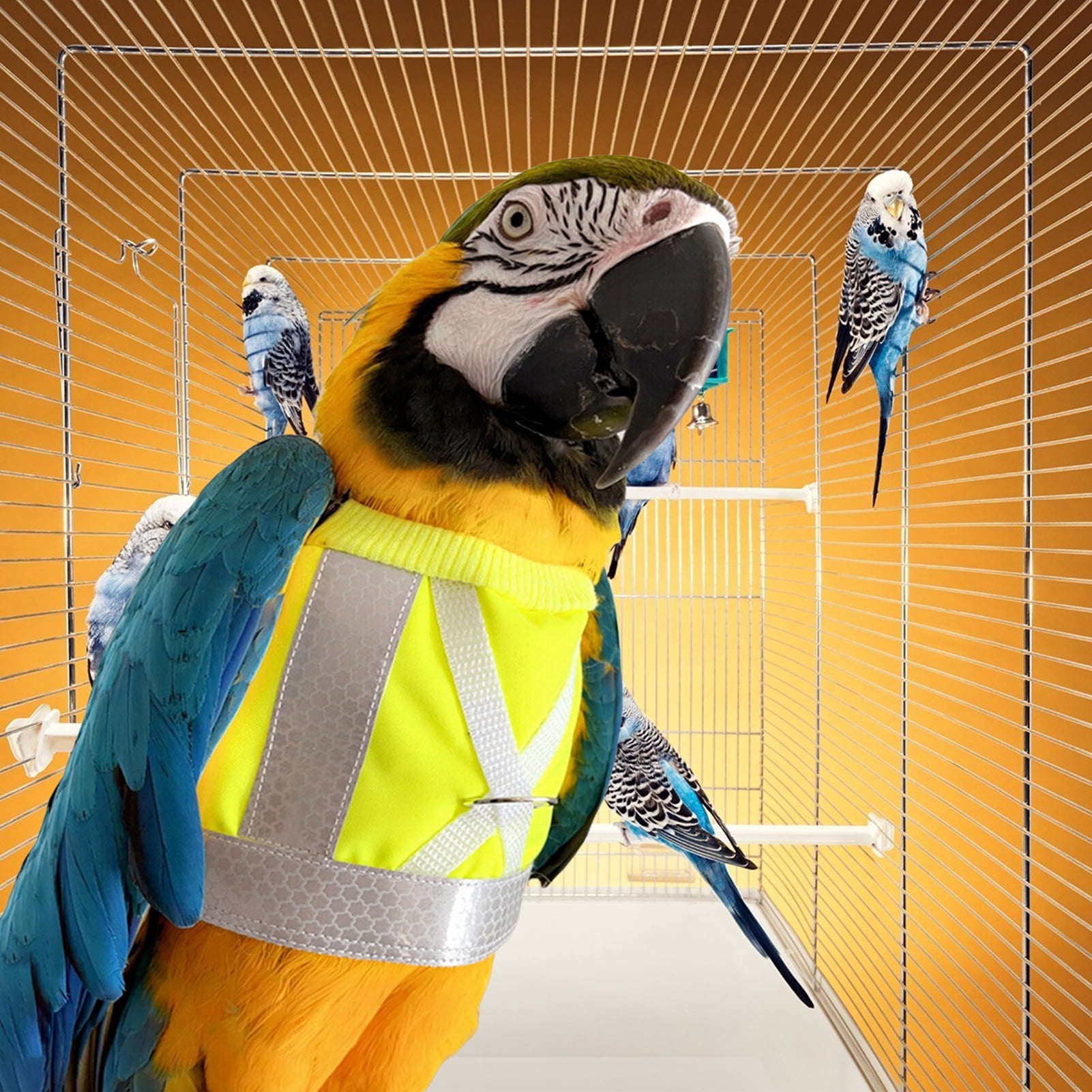 Leadrop Bird Flight Harness Vest Parrot Suit with Leash Reflective
