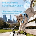 thumbnail image 4 of Rabbitgoo Cat Harness and Leash for Walking, Escape Proof Soft Adjustable Vest Harnesses for Cats, Easy Control Breathable Reflective Strips Jacket, Baby Blue, 4 of 11