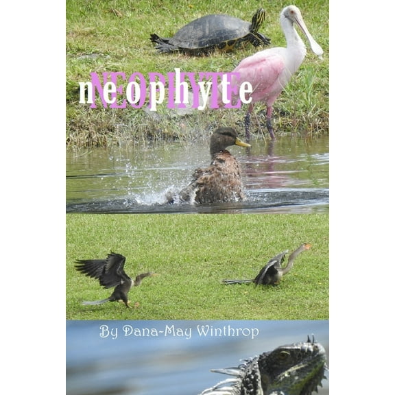 Neophyte (Paperback)
