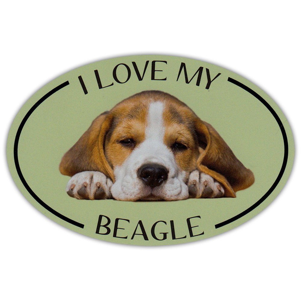 Oval Dog Breed Picture Car I Love My Beagle Bumper