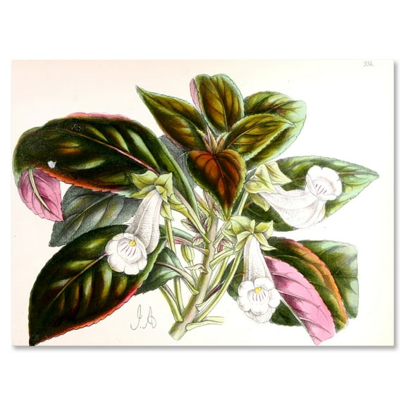 Designart ' Blossoming Vintage Flower V ' Traditional Canvas Wall Art Print