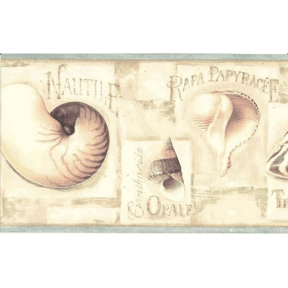 878142 Seashells Wallpaper Border LA036122b