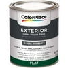 Colorplace Cp Accent Base Flat Exterior Paint Qt