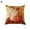 4, variante sur Zeus Housse de Coussin Décorative de Style Ferme à Thème d'Automne 18 Po