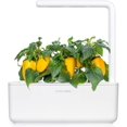 thumbnail image 2 of Click and Grow Gousses de Poivron Jaune de Jardin Intelligentes, Pack de 3, 2 of 4