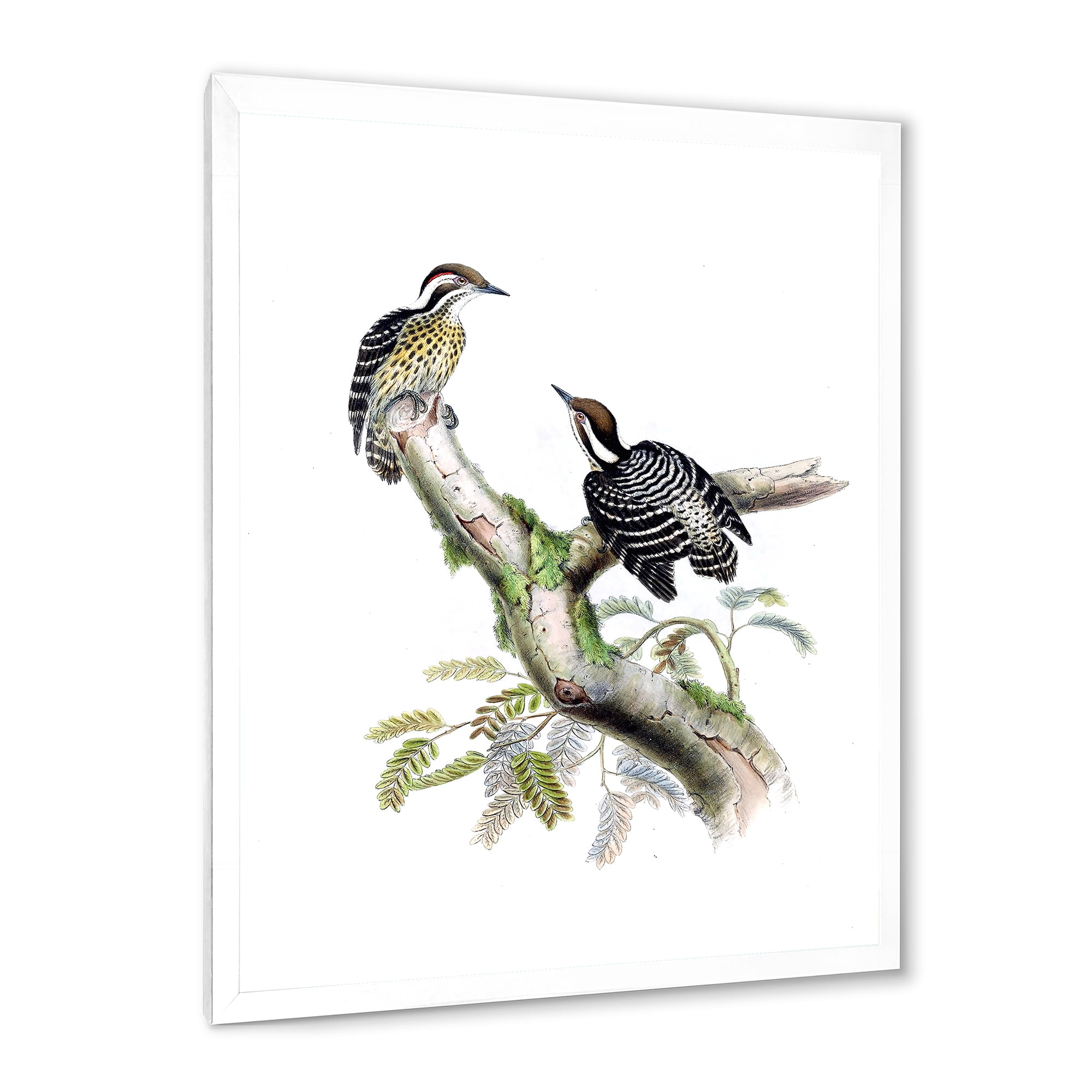 Designart 'Ancient Birds In The Wild VIII' Traditional Framed Art Print