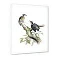 thumbnail image 2 of Designart 'Ancient Birds In The Wild VIII' Traditional Framed Art Print, 2 of 4