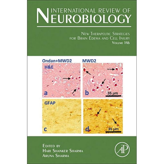 International Review of Neurobiology New Therapeutic Strategies for Brain Edema and Cell Injury: Volume 146, Book 146, (Hardcover)