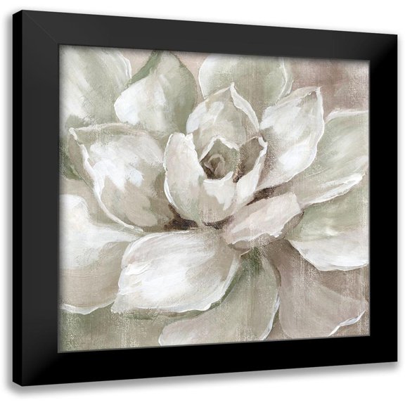 Nan 12x12 Black Modern Framed Museum Art Print Titled - Hazy Summer Succulent