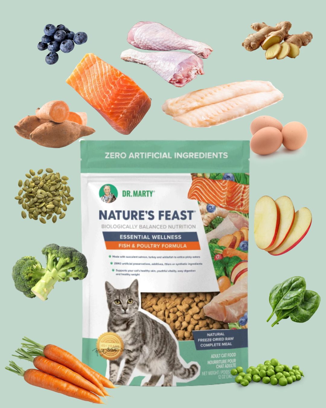 Dr. Marty Nature's Feast Natural Freeze-Dried Raw Cat Food, Essential Wellness Fish & Poultry Formula, High-Protein 87% Real Meat, Grain-Free, 12 oz