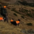 thumbnail image 3 of Bekayaa Reflective Dog Vest. Hi-Visibility, Fluorescent Blaze Orange Dog Vest Helps Protect Your Best Friend. Safeguard Your PUP from Motorists & Hunting Accidents, On or Off Leash. (L), 3 of 5