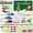 Green#906, variant on Fishing Advent Calendar for Man Adult Teen - Christmas Countdown Fishing Lure Tackle Set - Xmas Surprise Fish Bait Gift for Father Grandpa Brother Boyfriend 78-Piece