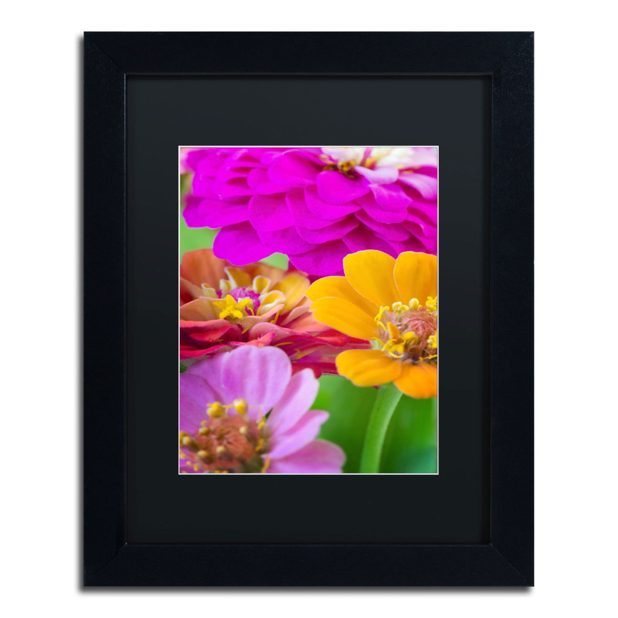 Trademark Fine Art "Bouquet of Inias" Canvas Art by Philippe Sainte-Laudy, Black Matte, Black Frame