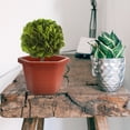 thumbnail image 4 of 2pcs Hexagonal Plastic Flower Planters Garden Plant Pots Simple Nursery Pots, 4 of 8