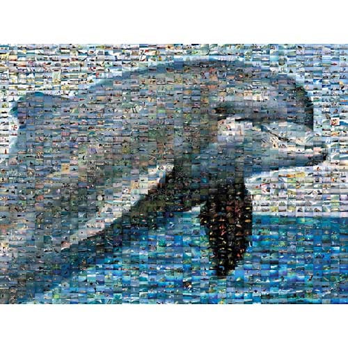 Robert Silver's Photomosaic - Dolphin - Walmart.com