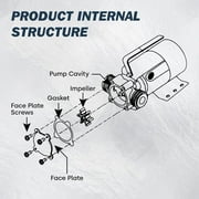 PROSTORMER 1/10HP 12V Mini Portable Water Pump, 350GPH DC Utility Pump, Electric Transfer Pump, Utility Pump with Hose Kit