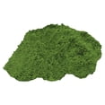 thumbnail image 2 of Clearance Under $5 Artificial Moss Powder Green Realistic DIY Terrarium Bonsai Garden Craft Decor,1PC,Green, 2 of 9