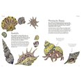 thumbnail image 3 of Beneath the Waves, 3 of 5