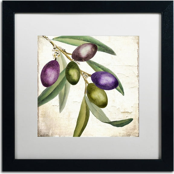 Trademark Fine Art "Olive Branch I" Canvas Art by Color Bakery, White Matte, Black Frame