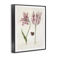 thumbnail image 3 of Stupell Industries Cottage Black Framed Giclee Art, 11 x 14, by Jacob Marrel, 3 of 8