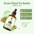 thumbnail image 2 of SVA Sweet Fennel Essential Oil – 4 Fl Oz – 100% Natural Fennel Oil - for Diffuser, Hair Care, Face, Skin Care, Aromatherapy, Scalp and Body Massage, Soap and Candle Making – with Dropper, 2 of 8