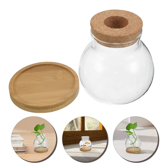 Raindrops  2 Sets Small Clear Vase Propagation Jars Hydroponic Plant Bottle